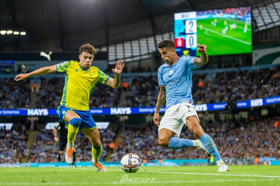 仅让观众大 仅让观众大